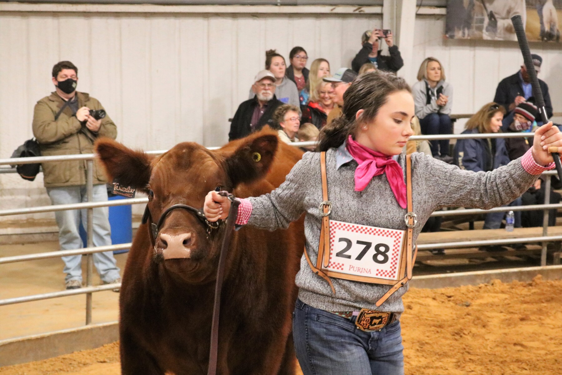 PHOTOS 2021 Erath County Jr. Livestock Show Beef Cattle The Flash