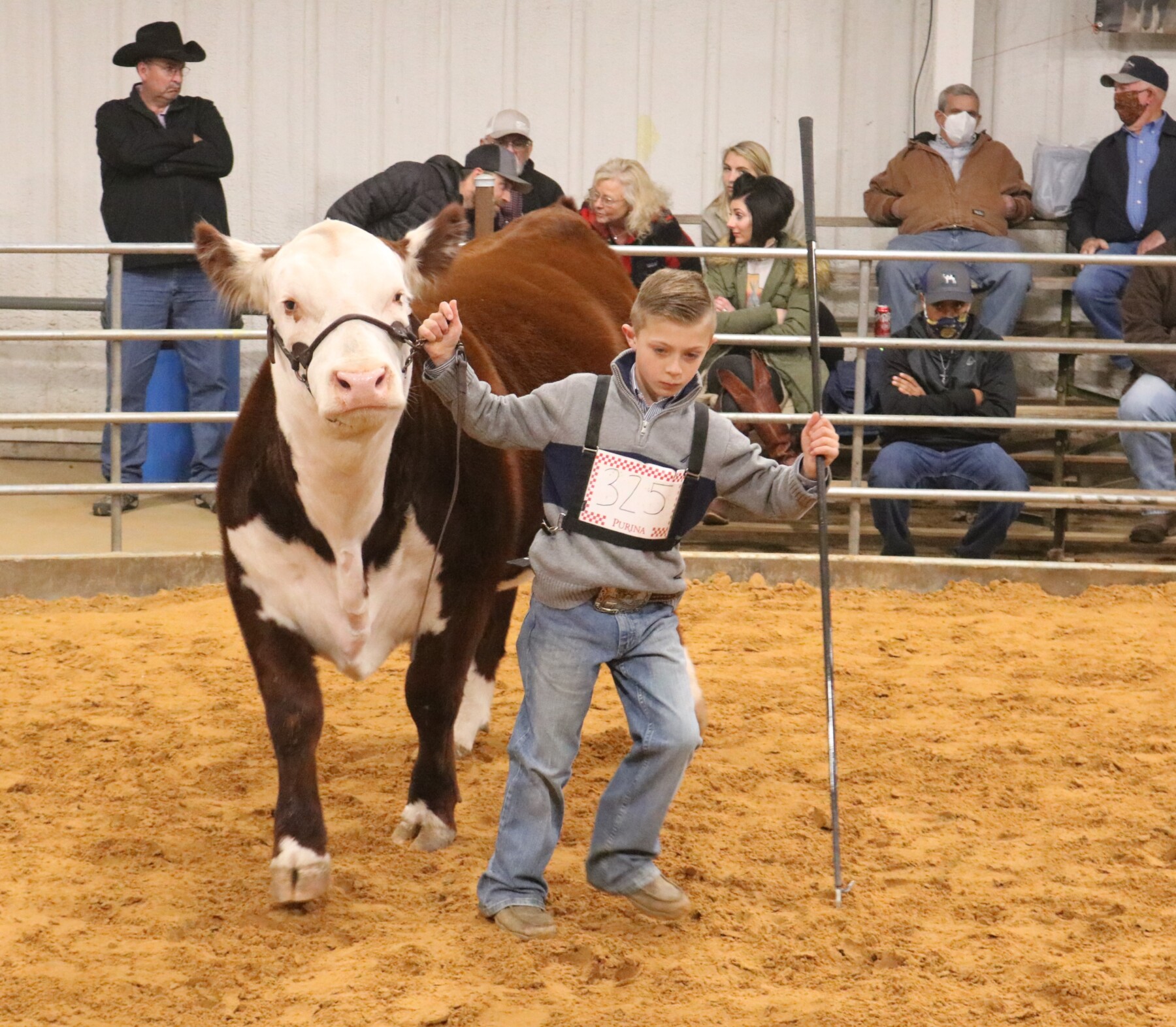 PHOTOS 2021 Erath County Jr. Livestock Show Beef Cattle The Flash