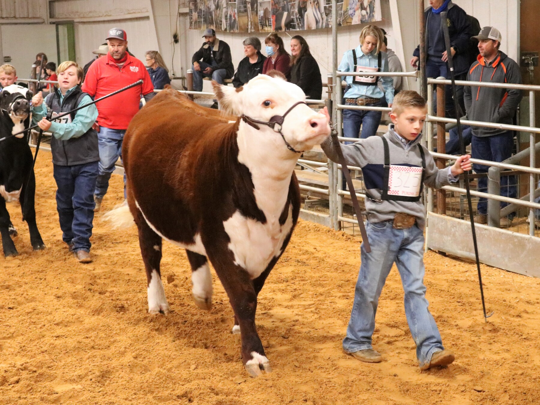 Kansas Spring Livestock Shows 2024 - Betta Charlot