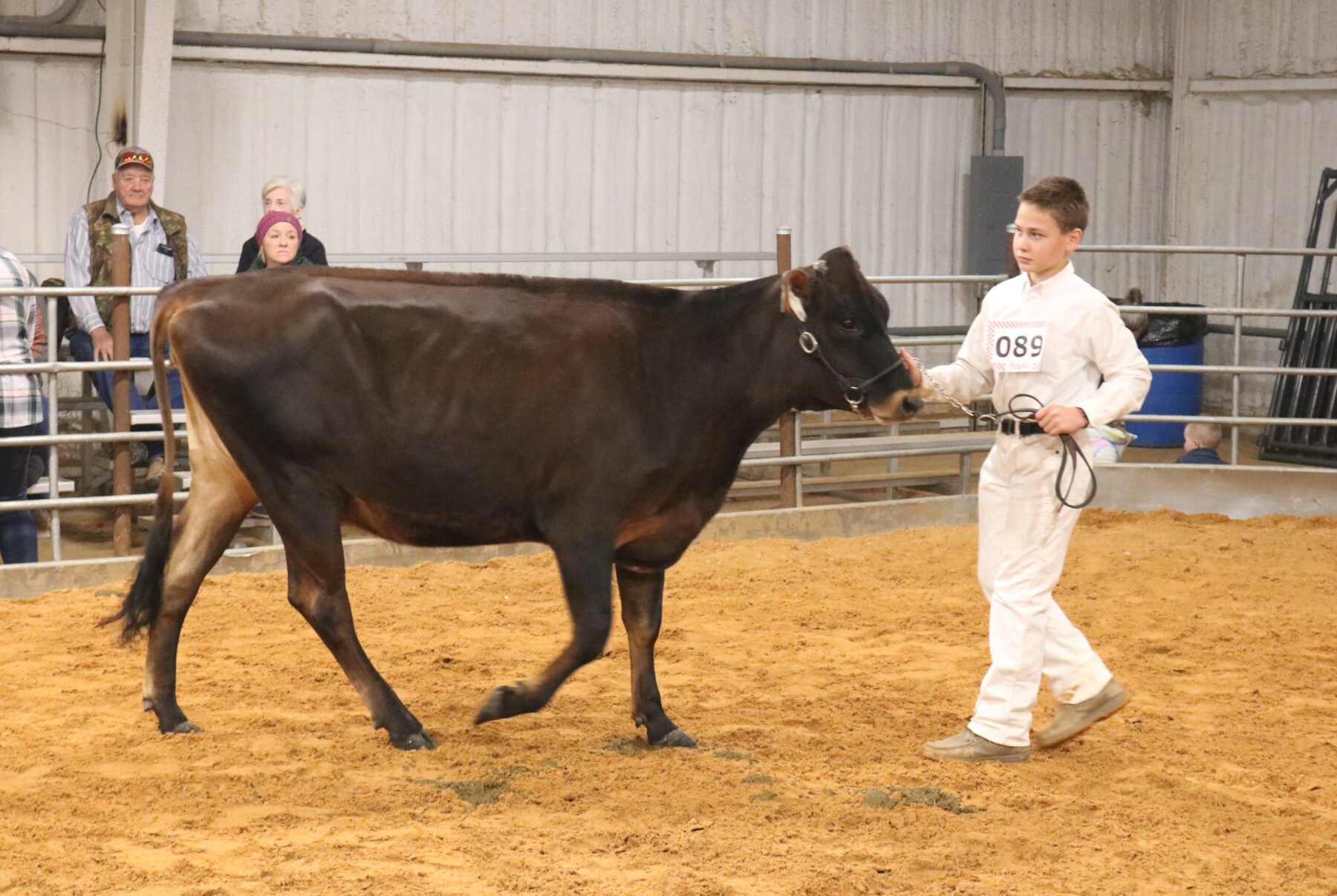 Photos 2021 Erath County Jr Livestock Show Dairy Cattle The Flash Today Erath County 1603